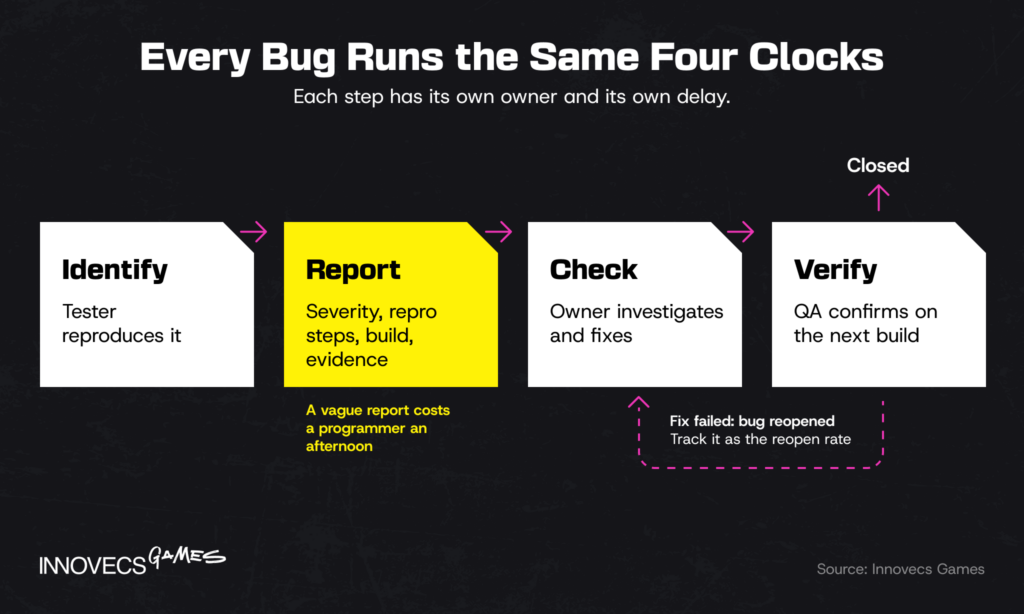 Bug lifecycle: identify, report, check, verify